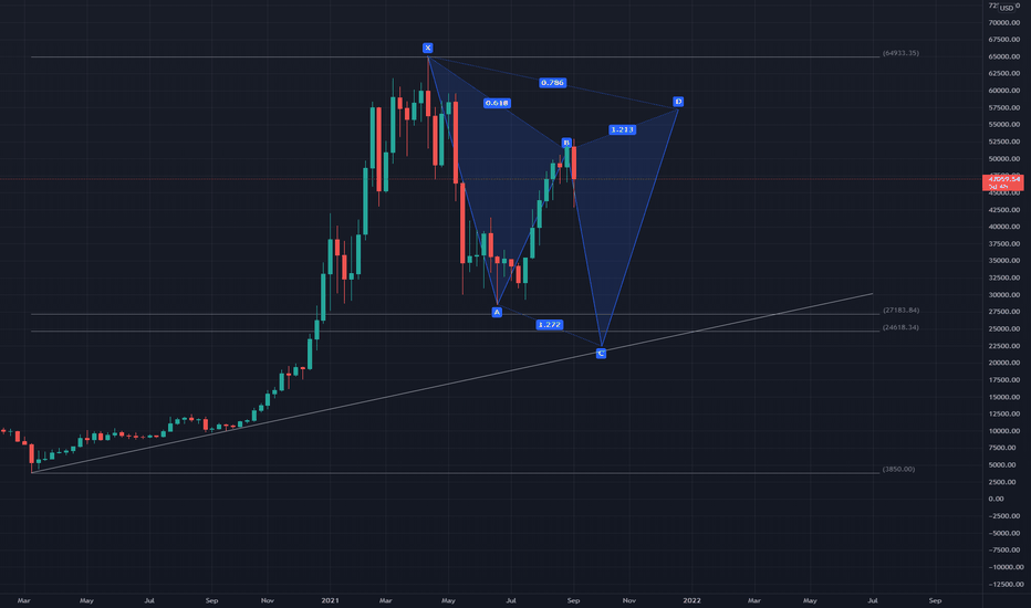خریدBTC،تکنیکال،Algorithm