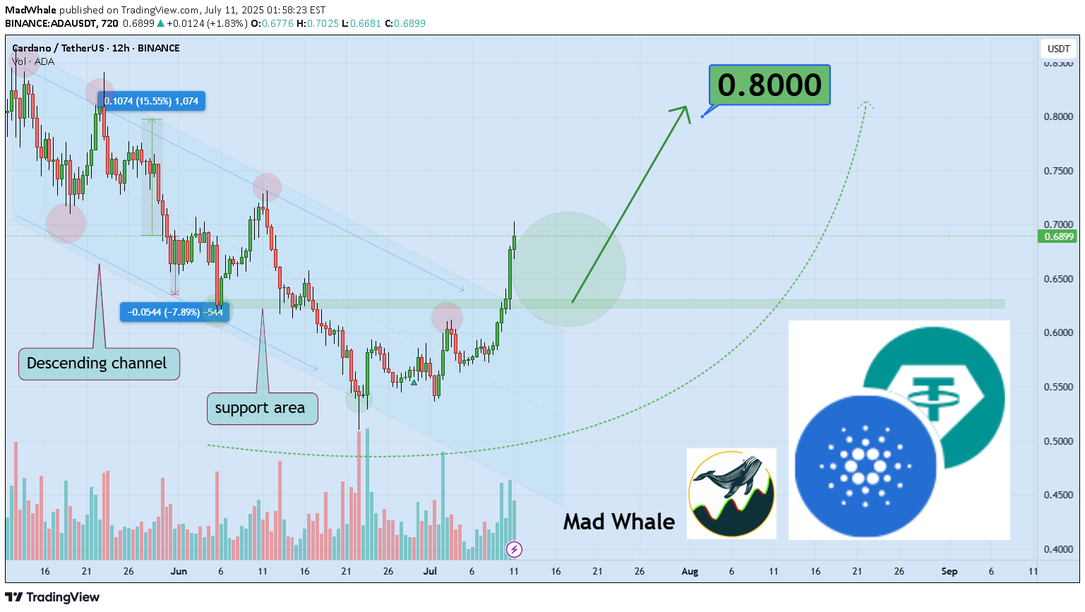 Satın al،Teknik،MadWhale