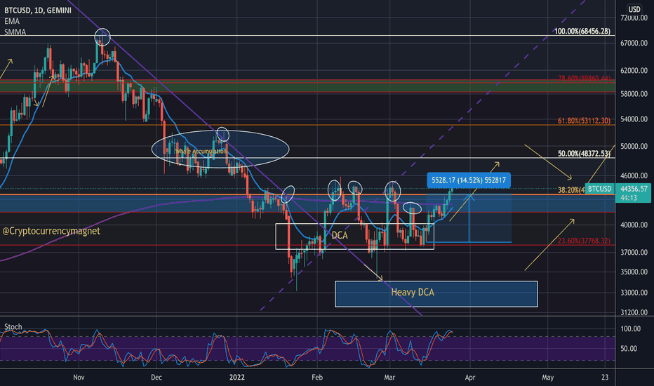 خریدBTC،تکنیکال،CryptocurrencyMagnet