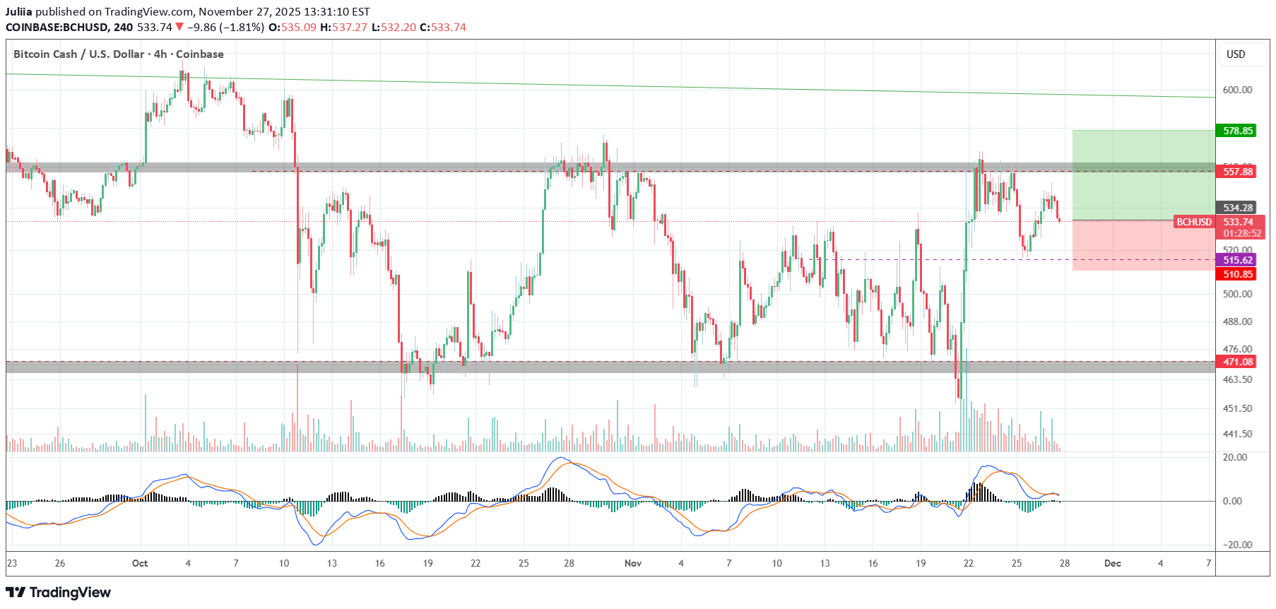 BuyBCH،Technical،Juliia