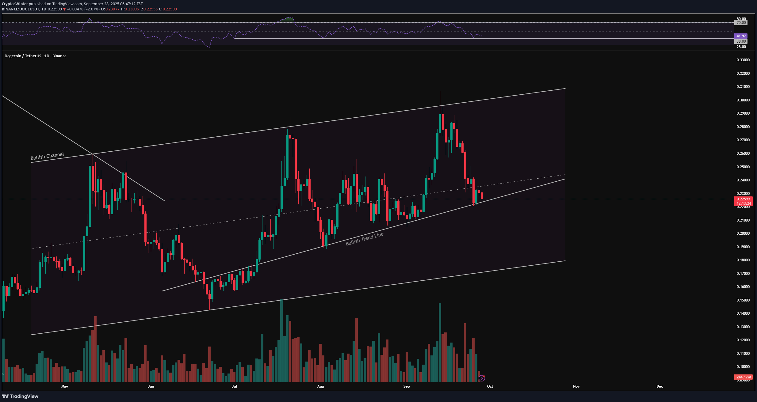 DOGE،Teknik،CryptosWinter