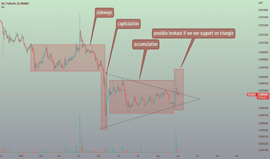 خریدXEC،تکنیکال،ribi
