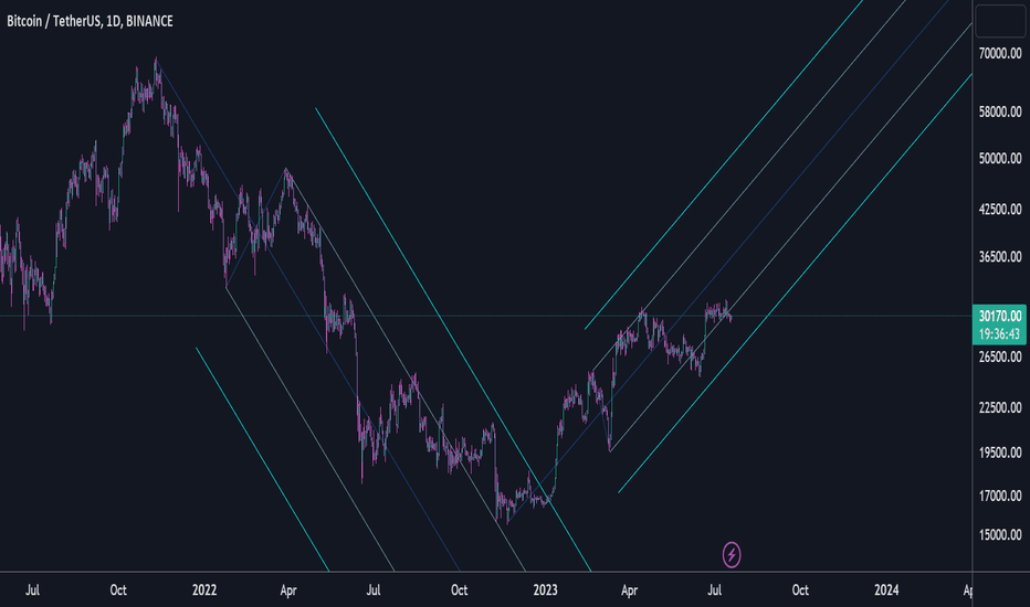 خریدBTC،تکنیکال،space_bear