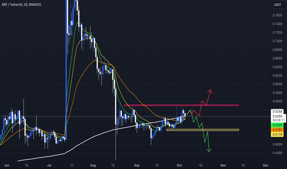 XRP،تکنیکال،TradingChimp503