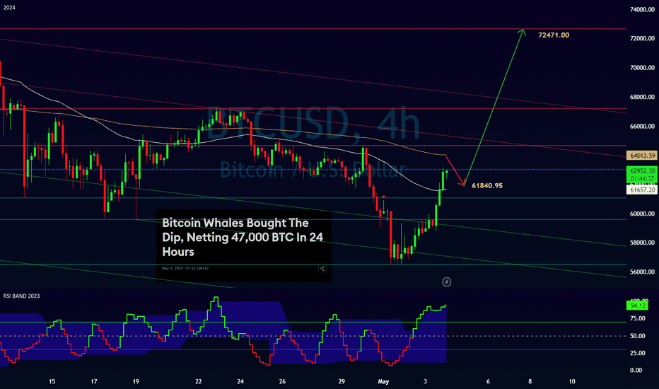 BTC،تکنیکال،MOHAMAD-KL