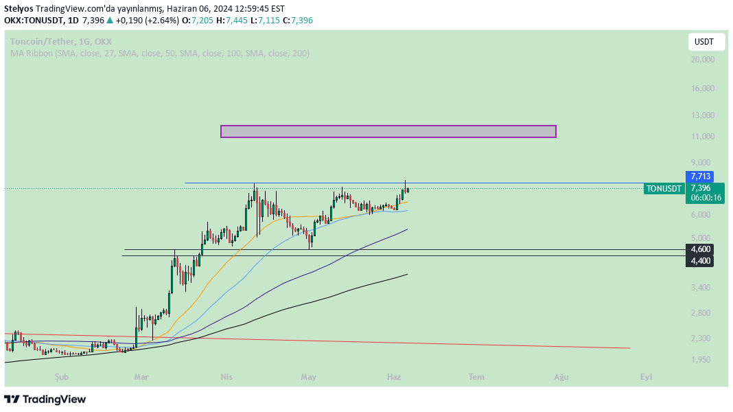 BuyTON،Technical،Stelyos