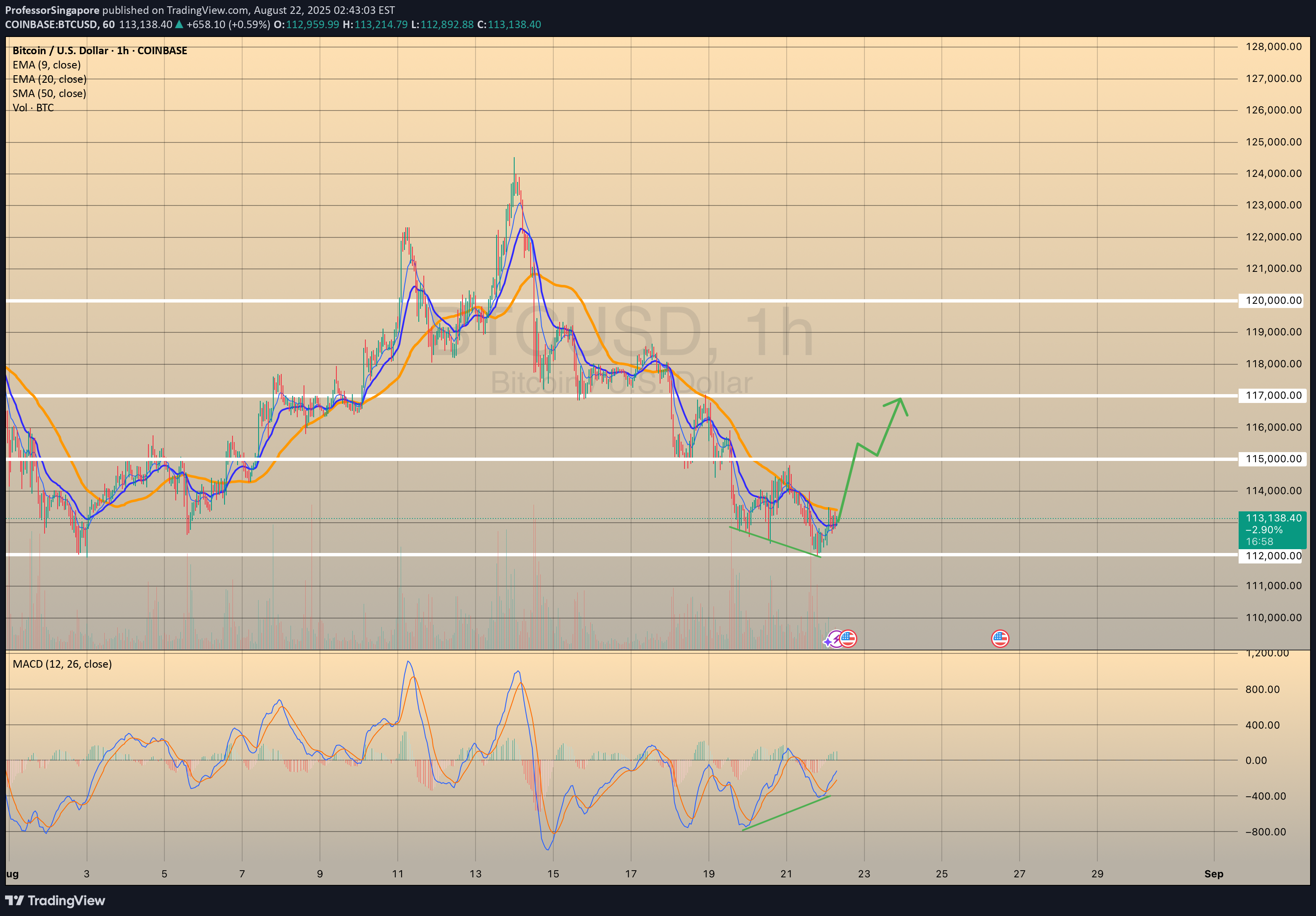 BuyBTC،Technical،ProfessorSingapore