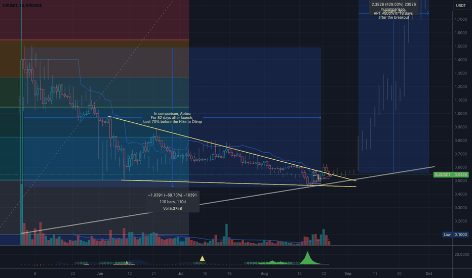 BuySUI،Technical،A_I_Vision