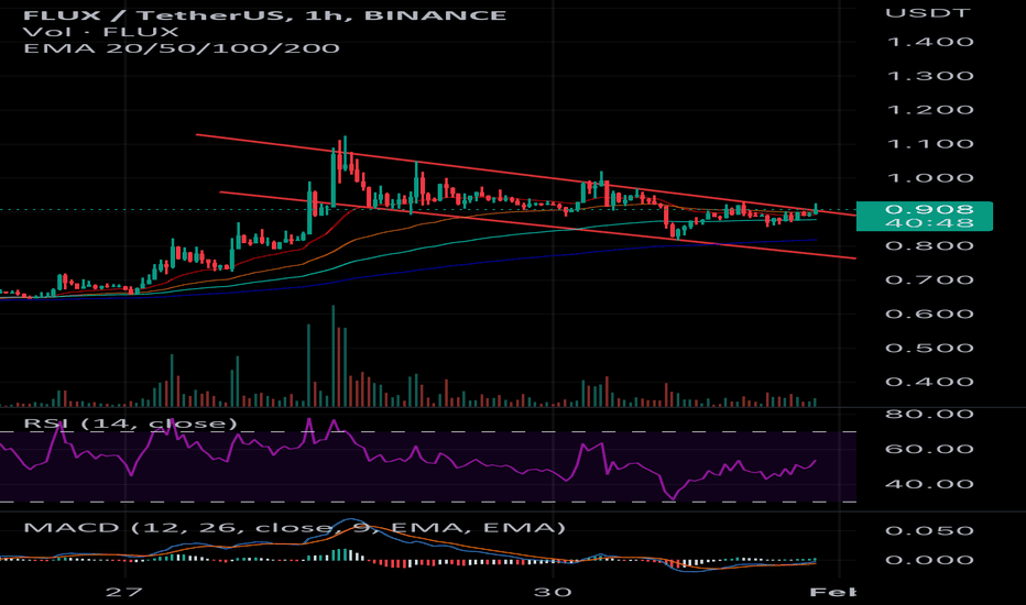 BuyFLUX،Technical،Skripar88