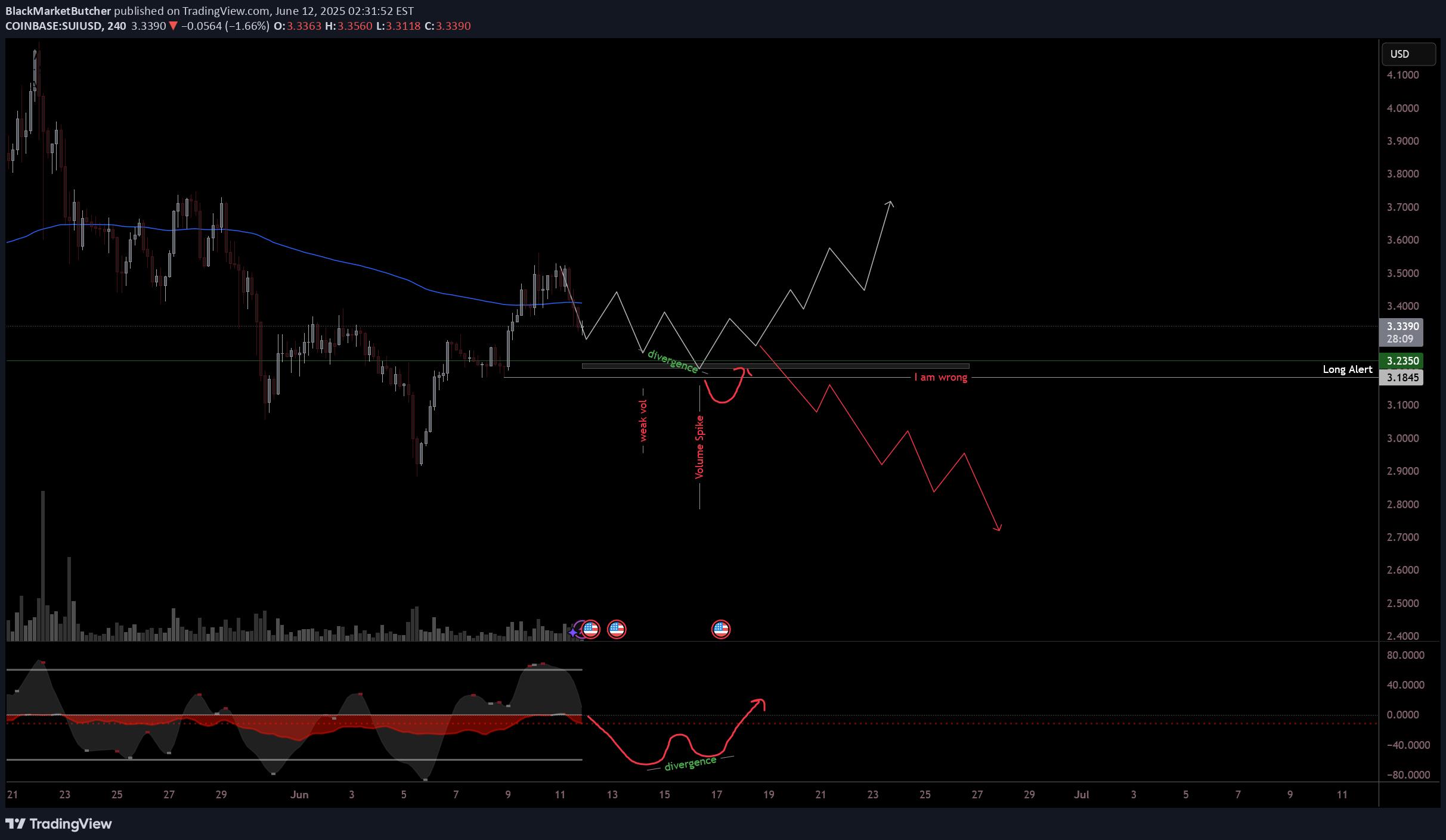 BuySUI،Technical،BlackMarketButcher
