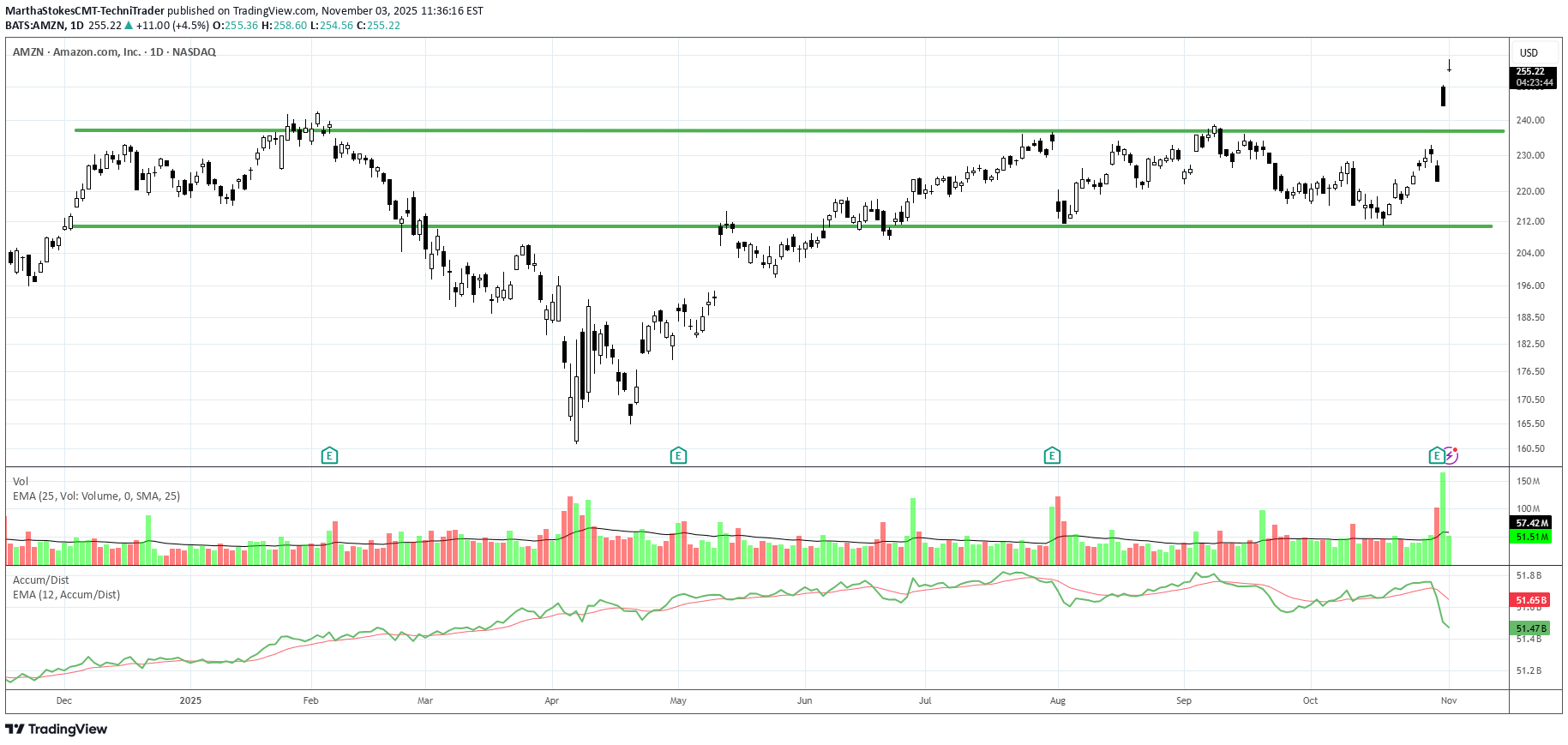 AMZNX،تکنیکال،MarthaStokesCMT-TechniTrader