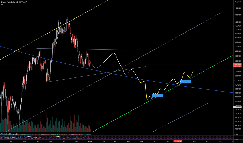 BTC،Technical،Sauasage-dog