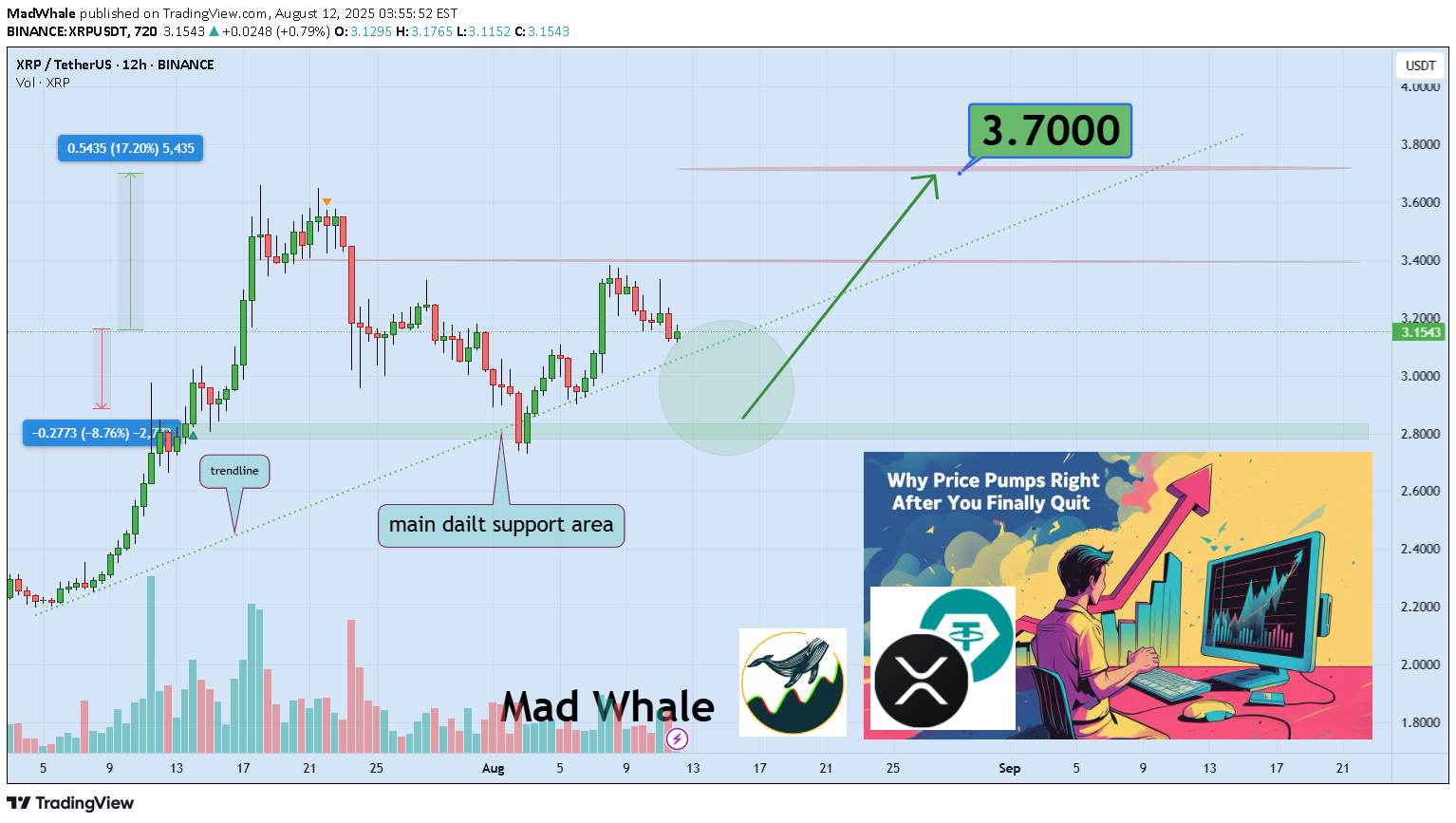 XRP،Teknik،MadWhale