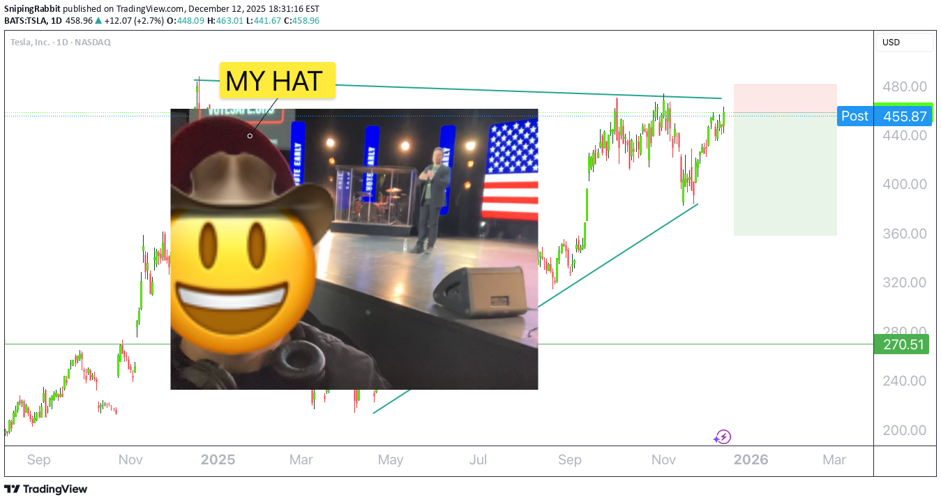 SellTSLAX،Technical،SnipingRabbit