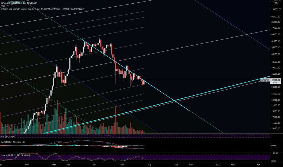 BTC،Technical،Sauasage-dog