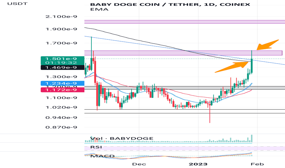 BABYDOGE،تکنیکال،tradekah