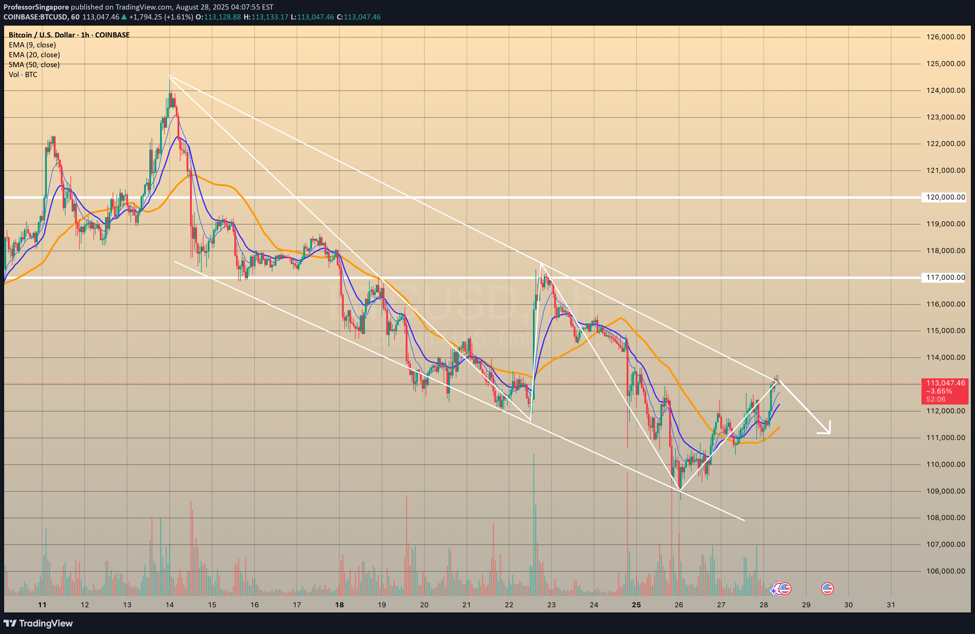 SellBTC،Technical،ProfessorSingapore