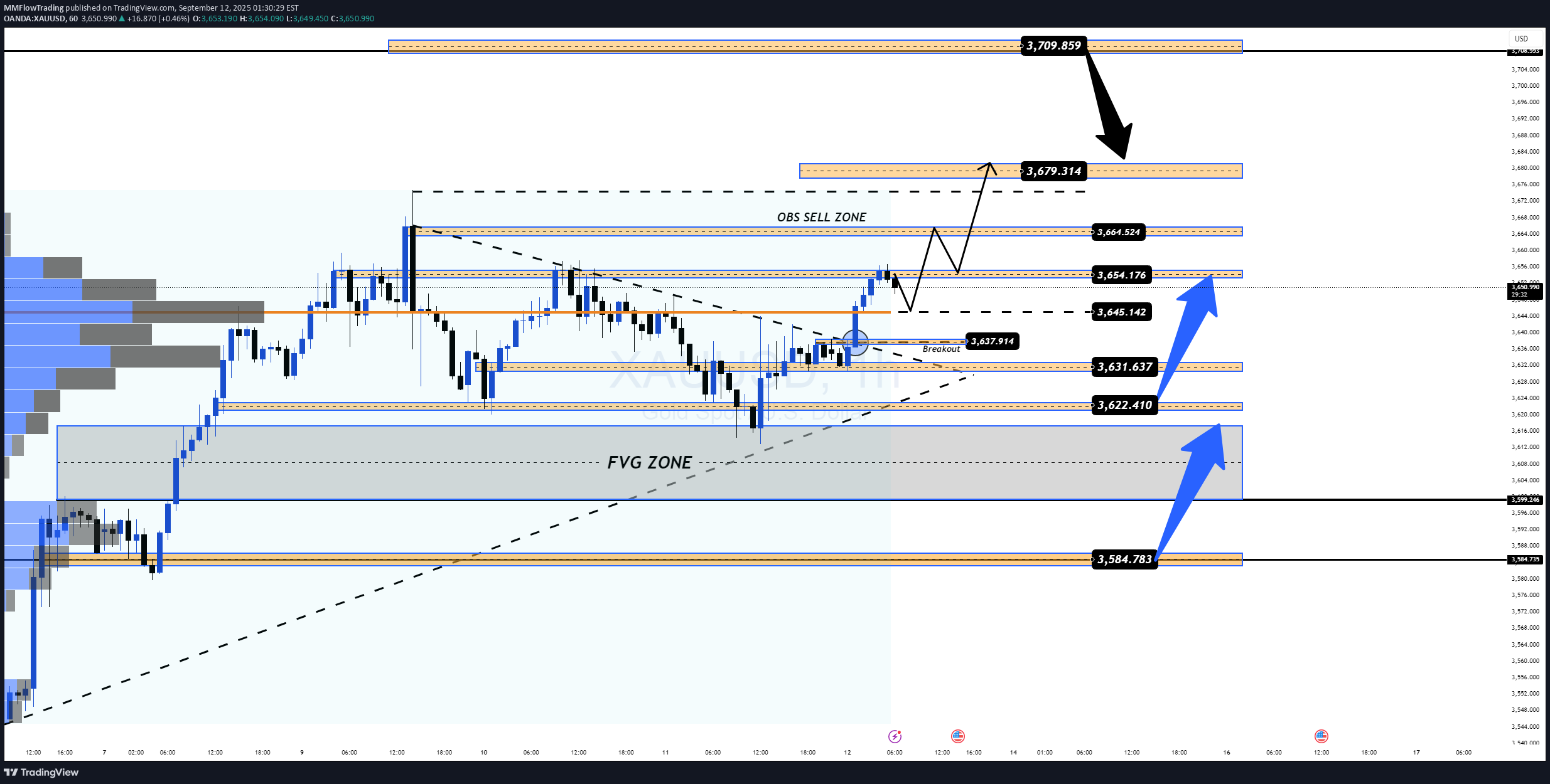 خریدPAXG،تکنیکال،MMFlowTrading