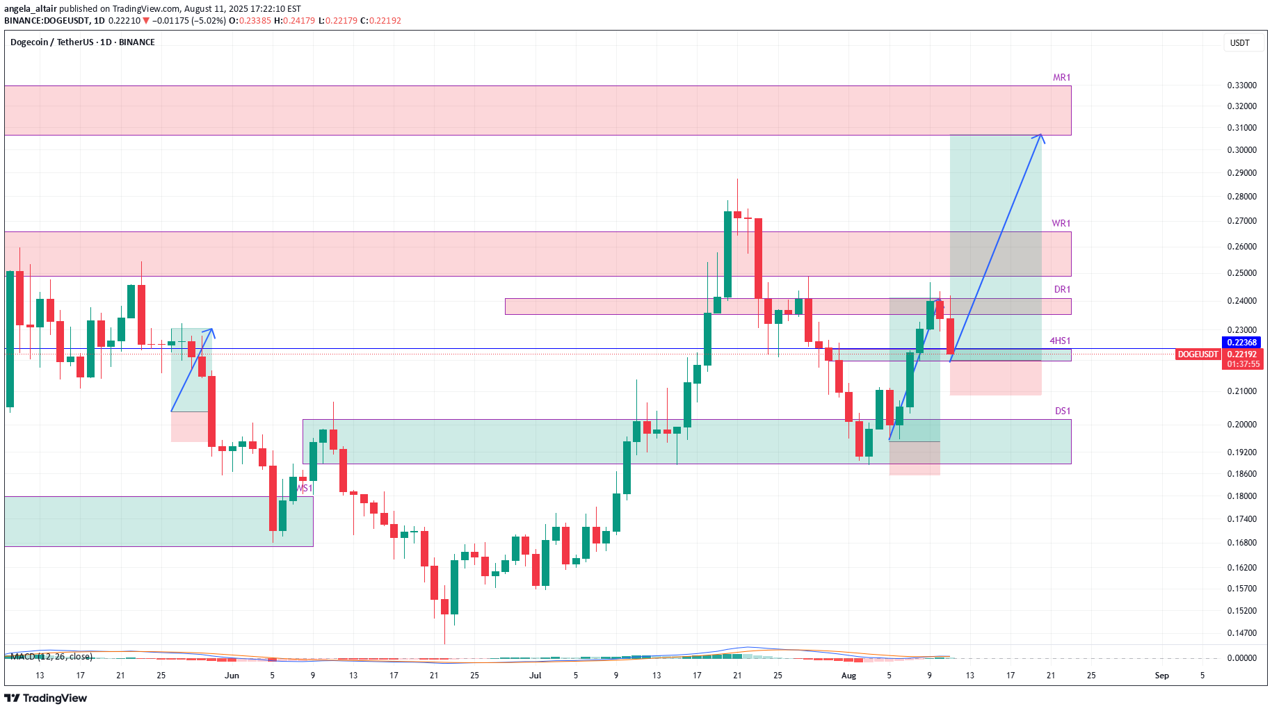 BuyDOGE،Technical،angela_altair