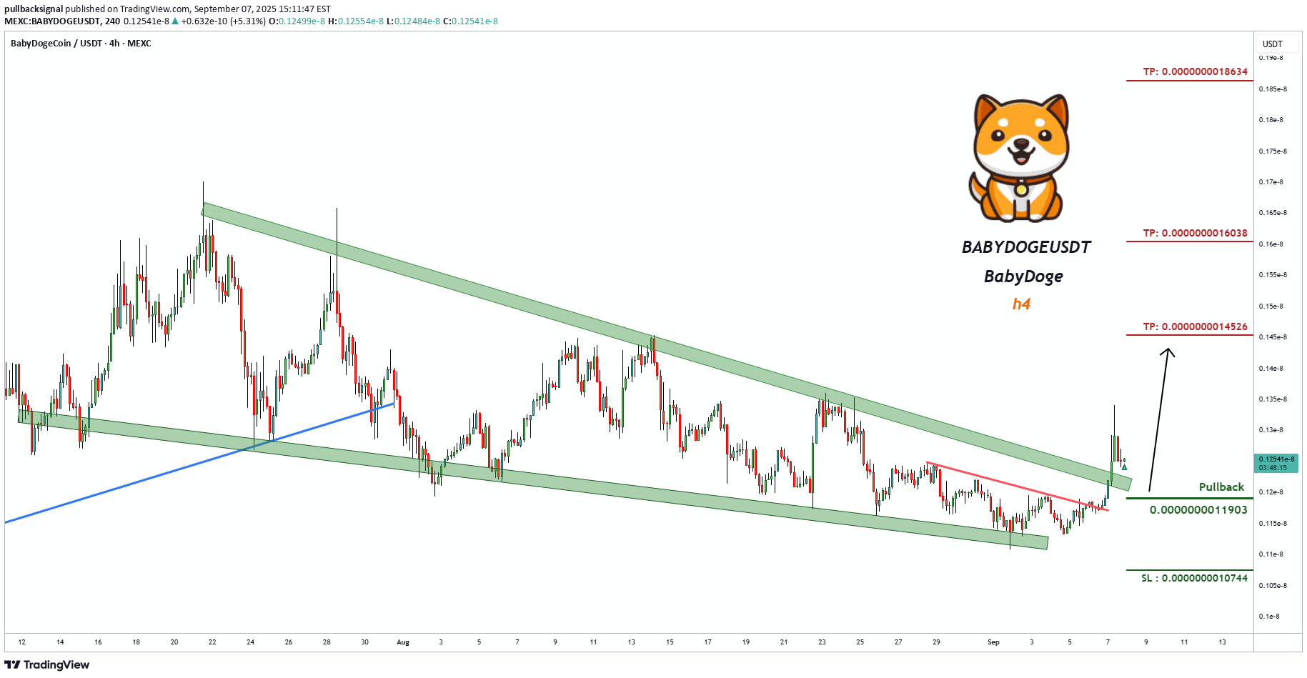 خریدBABYDOGE،تکنیکال،pullbacksignal