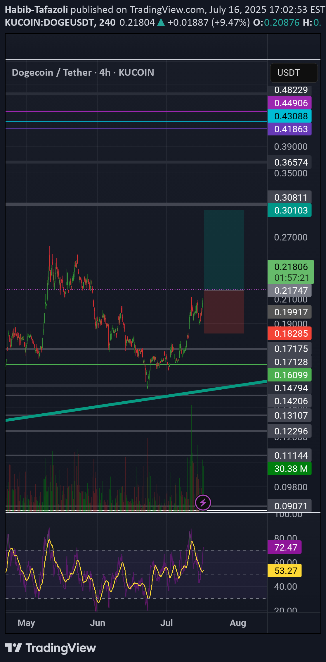 BuyDOGE،Technical،Habib-Tafazoli