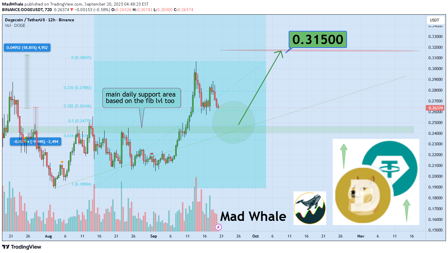 DOGE،تکنیکال،MadWhale