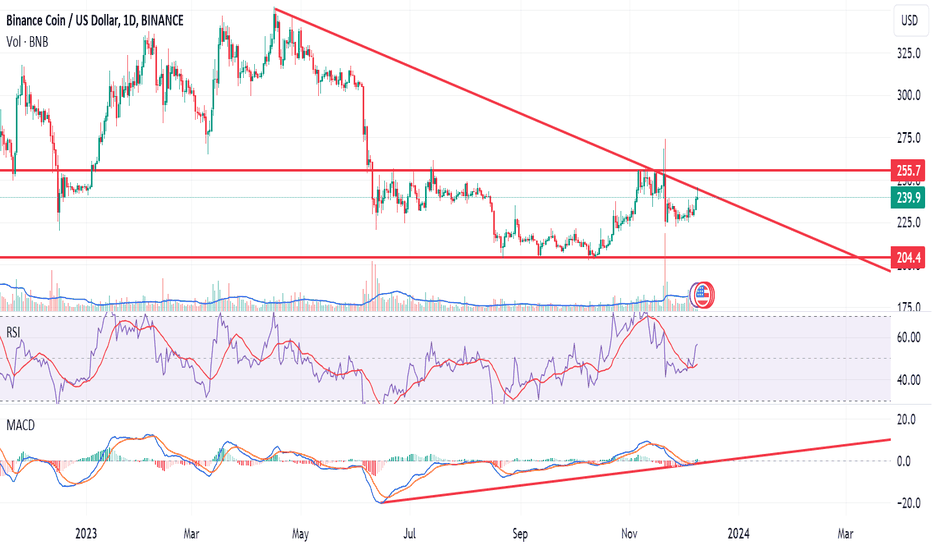 BNB،تکنیکال،the_terrific_m