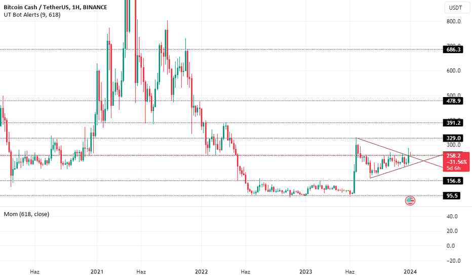 BCH،تکنیکال،xcumita
