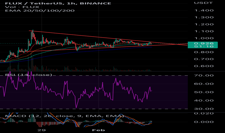 BuyFLUX،Technical،Skripar88
