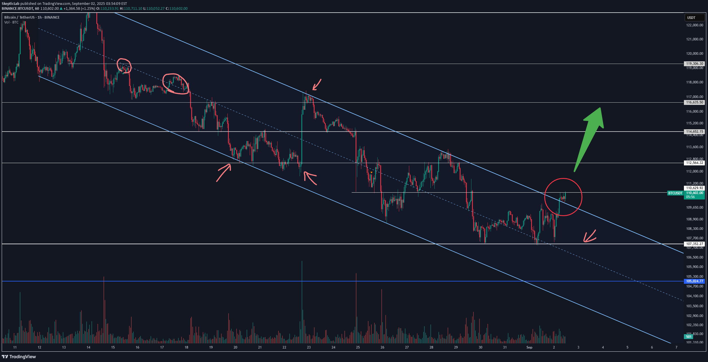 BTC،Teknik،SkepticLab