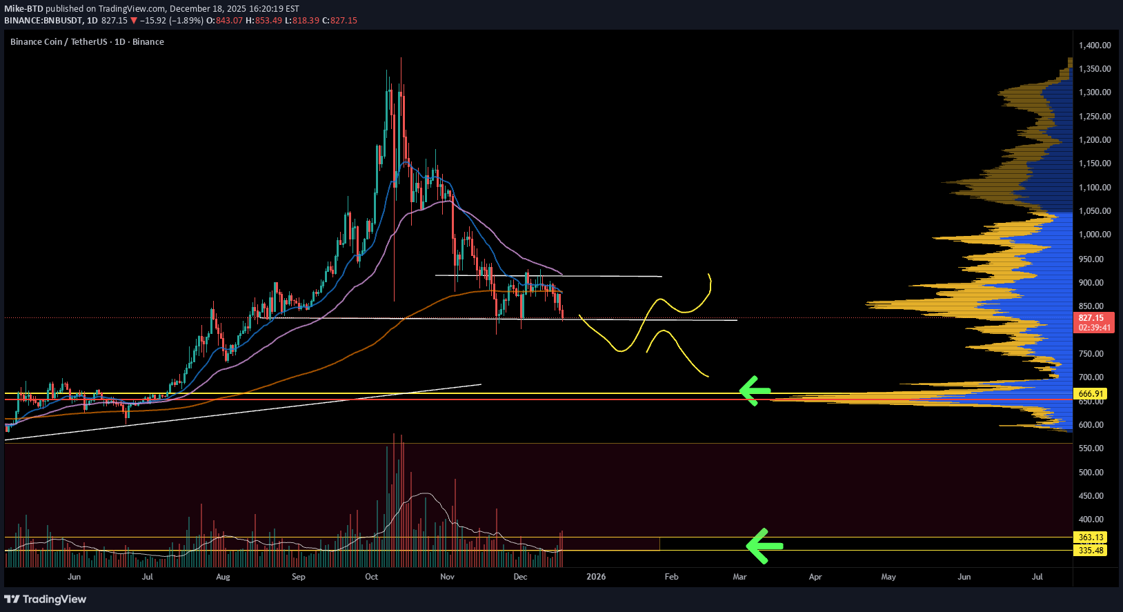 BNB،Technical،Mike-BTD