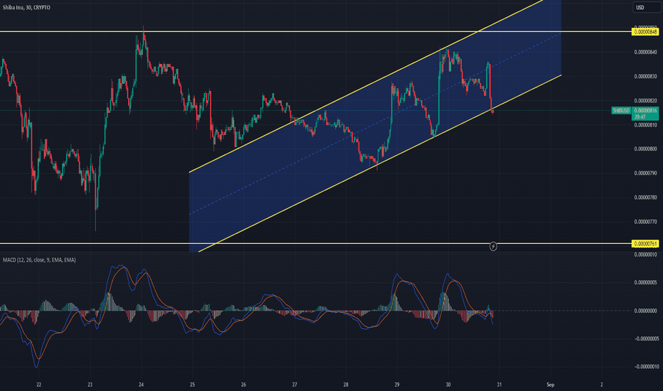 SHIB،تکنیکال،mohankumar1998209