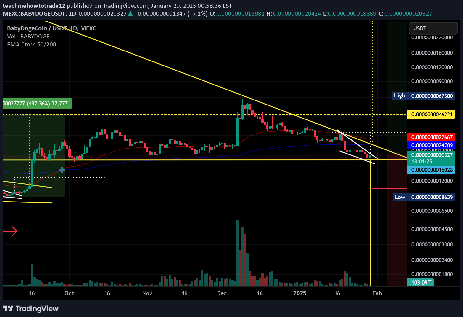 BABYDOGE،Technical،teachmehowtotrade12