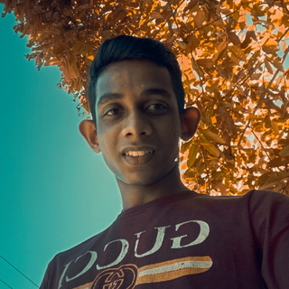 dilsarairoshofficial