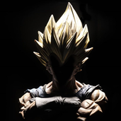 Prince-of-Saiyans