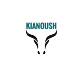 kianoushasadi