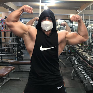 SeyedMohamadHosseinAlavi