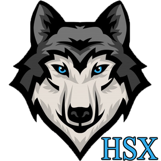 HOSSEINSLM