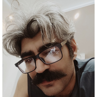 shayankoueenezhad