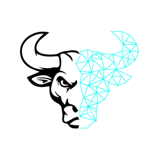 Bullfinder-official