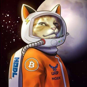 bitmastervn