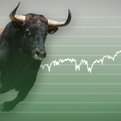 Bitgunbull