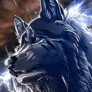 Wolf_of_Trading