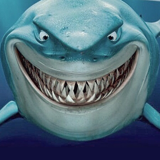 mastershark