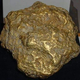 Bimbi92GOLD