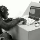 ForexMonkey1