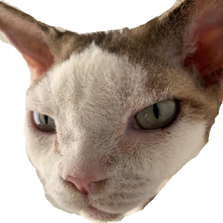 Sinex