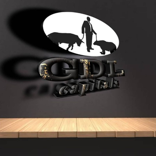 gdlintelFX