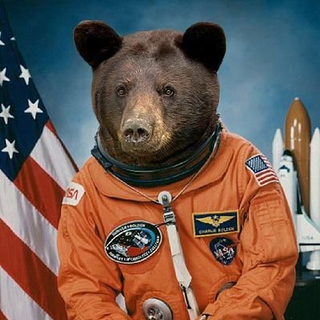 space_bear