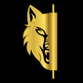 teamprofitsforex